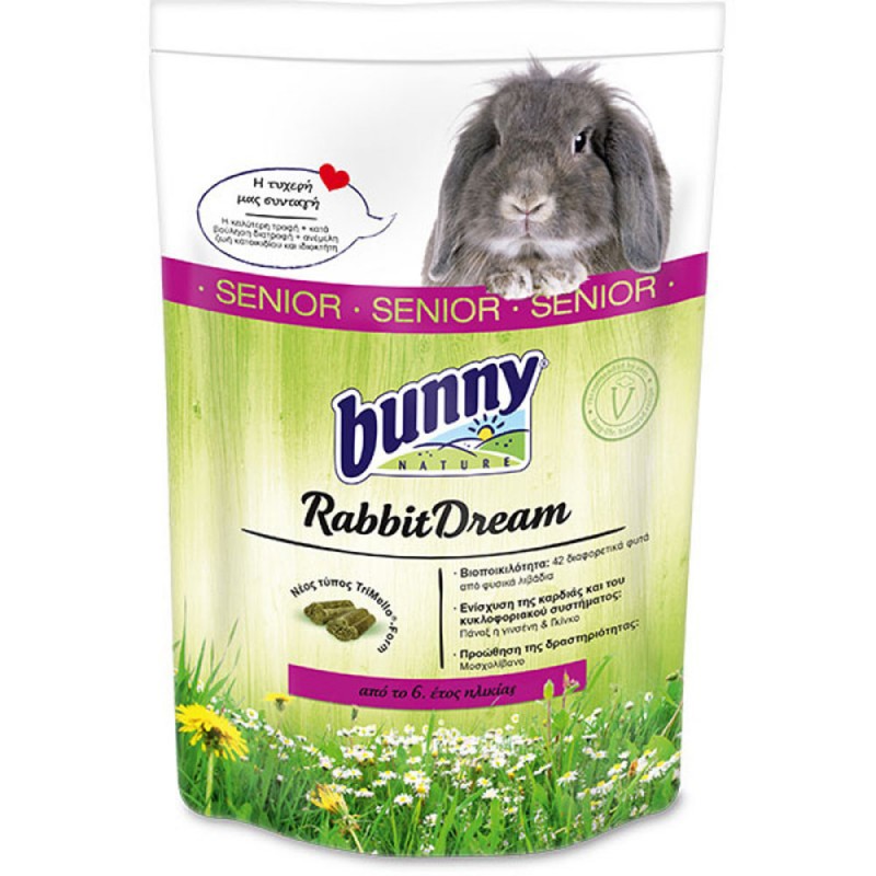 Bunny Rabbit Dream Senior