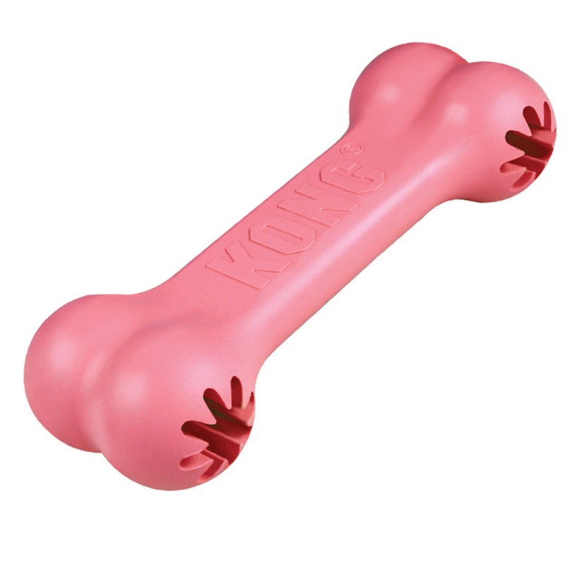 Kong Puppy Goodie Bone