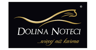 DOLINA NOTECI